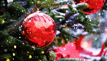 Eine rote Weihnachtskugel hängt an einem Weihnachtsbaum | © adobestock | Ju_see